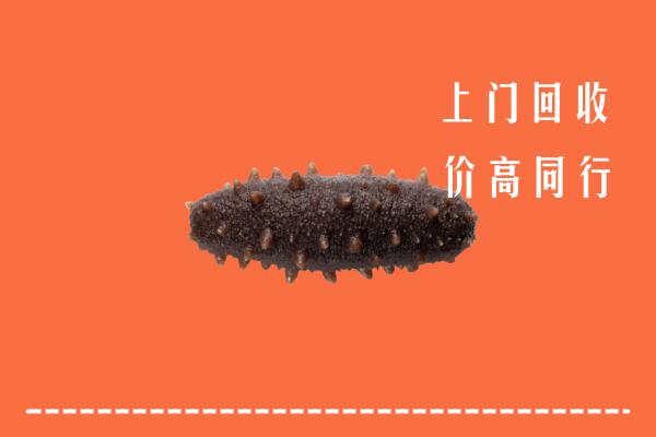 珠海高价回收海参